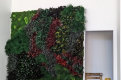 Malta University Language School - UOM Block O - Reception Green Wall